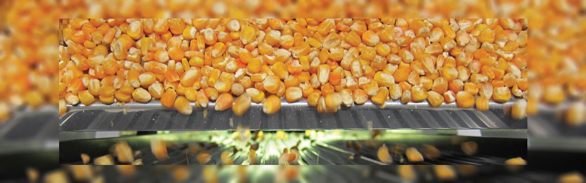 slider-clasificacion-de-maiz