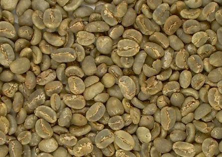 Imagen cafe grano arabica aceptado