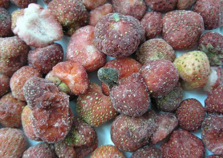 Imagen fresas descartado 3