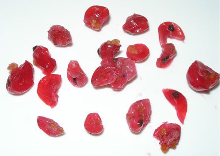 Imagen grosellas rojas descartado 6