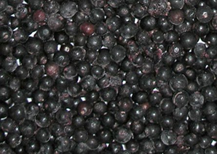 Imagen rosellas negras aceptado