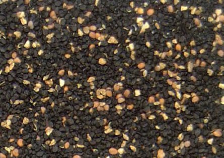 Imagen Semilla algodón descartado 2