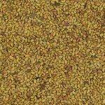 Imagen Semillas de Mielga (alfalfa) Aceptado