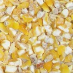 cereales maiz - Rechazo