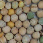 Imagen guisante amarillo rechazada 001