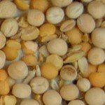 Imagen guisante amarillo rechazada 003