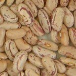 Imagen judias borlotti aceptado