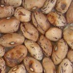 Imagen judias borlotti descartado