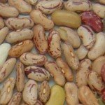 Imagen judias borlotti descartado 2
