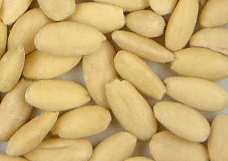 Imagen almendra blanqueada entera aceptado