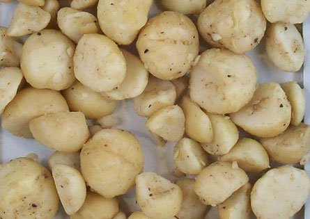 Imagen nuez macadamia entera aceptada