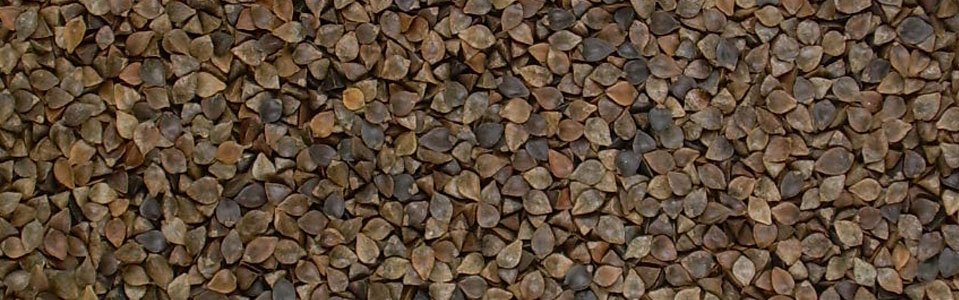 slider-casificacion-trigo-sarraceno