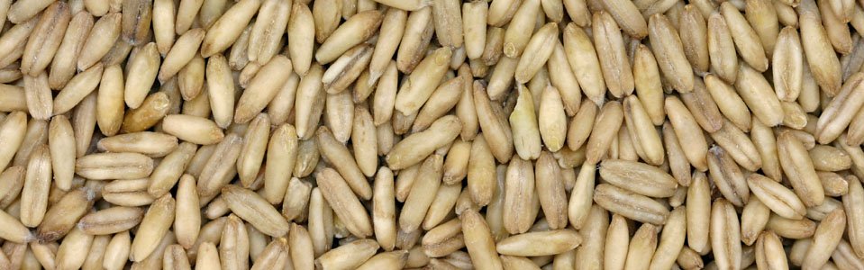 slider-clasificacion-de-avena