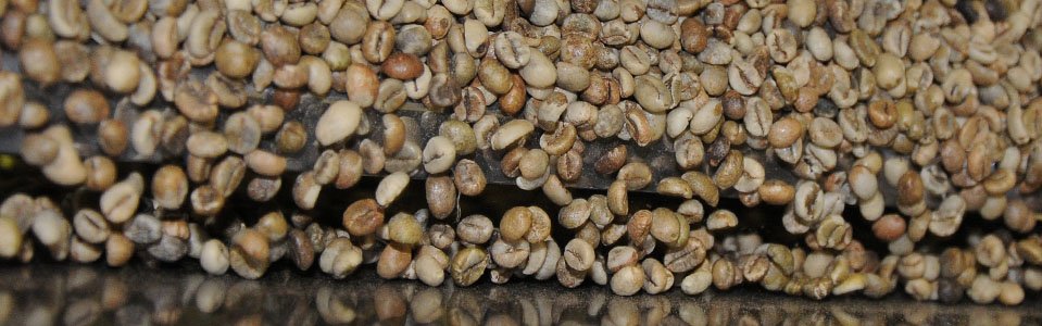 slider-clasificacion-de-cafe