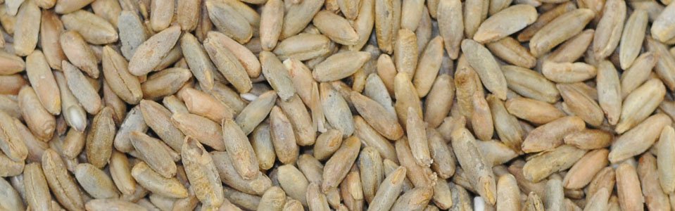 slider-clasificacion-de-centeno