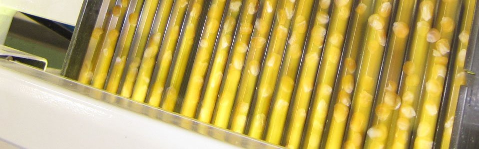 slider-clasificacion-de-semillas-2