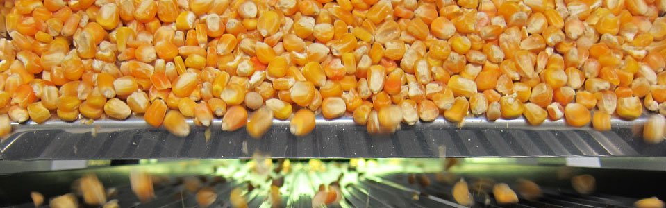 slider-clasificacion-de-semillas