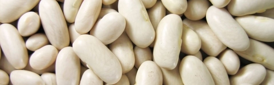 slider-clasificacion-judias-deshidratadas