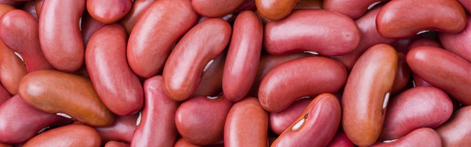 slider-clasificacion-legumbres