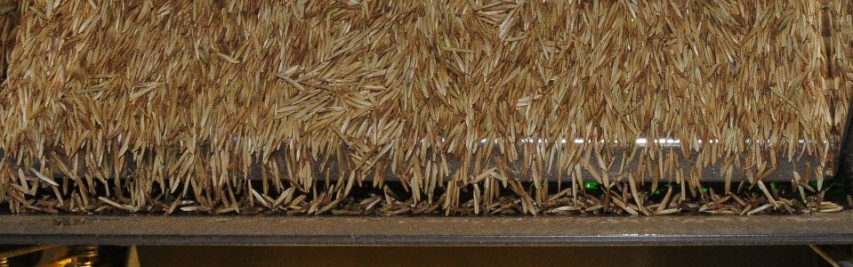 slider-clasificacion-semillas-gramineas