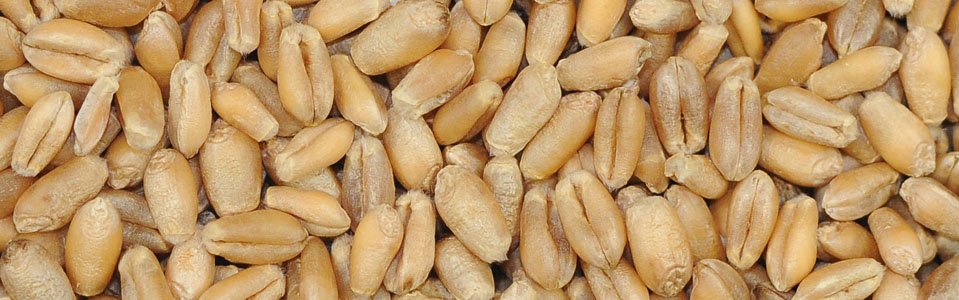 slider-clasificacion-trido-duro