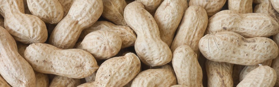 slider-clasificacion-cacahuetes