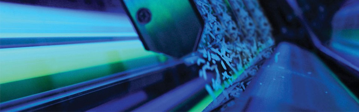 Clasificación de Arroz