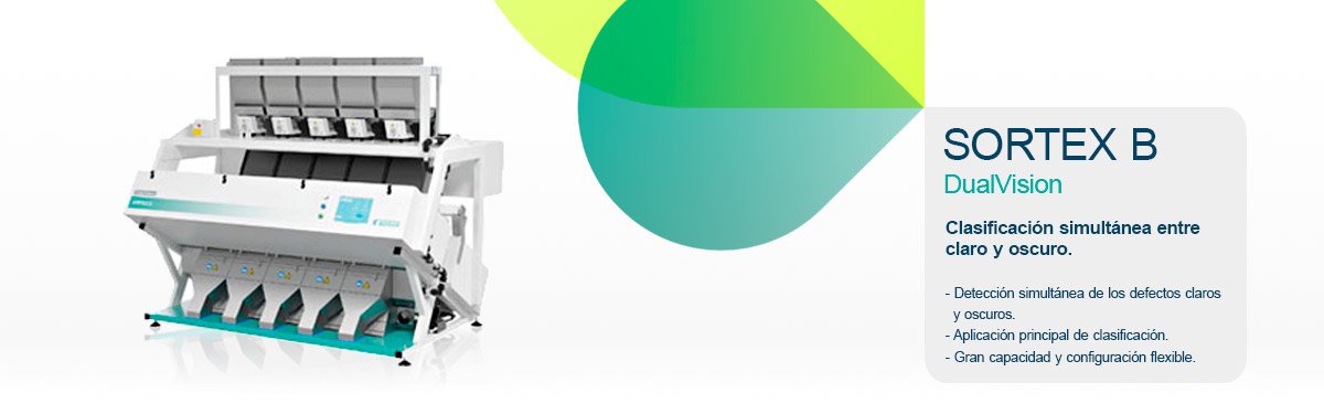 SortexB_dualvision